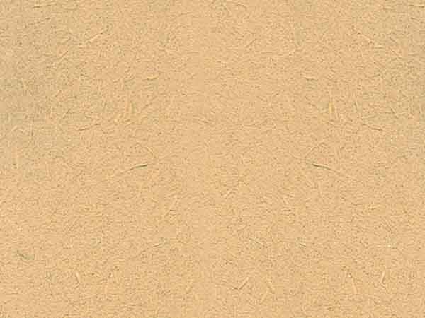 男女上床羞羞APP在线观看