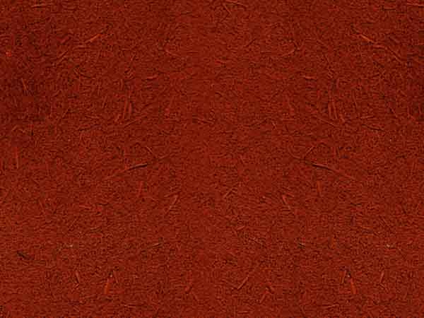 男女上床羞羞APP在线观看